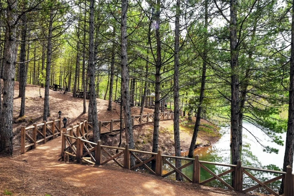 Çamlık Milli Park, Yozgat